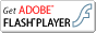 Adobe Flash Player ̃_E[h